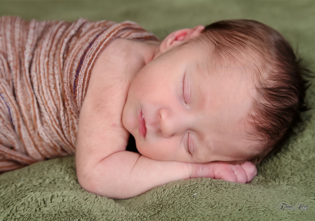 Newborn, Recém-Nascidos, Fotografia de Newborn, Fotografia de Estúdio, Bebês, Barra Bonita