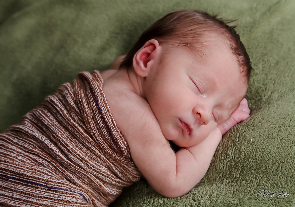 Newborn, Recém-Nascidos, Fotografia de Newborn, Fotografia de Estúdio, Bebês, Barra Bonita