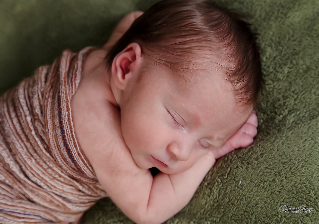 Newborn, Recém-Nascidos, Fotografia de Newborn, Fotografia de Estúdio, Bebês, Barra Bonita