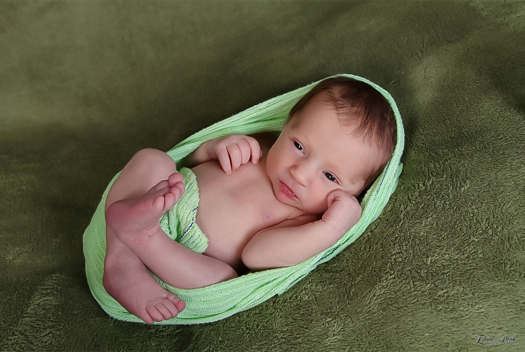 Newborn, Recém-Nascidos, Fotografia de Newborn, Fotografia de Estúdio, Bebês, Barra Bonita