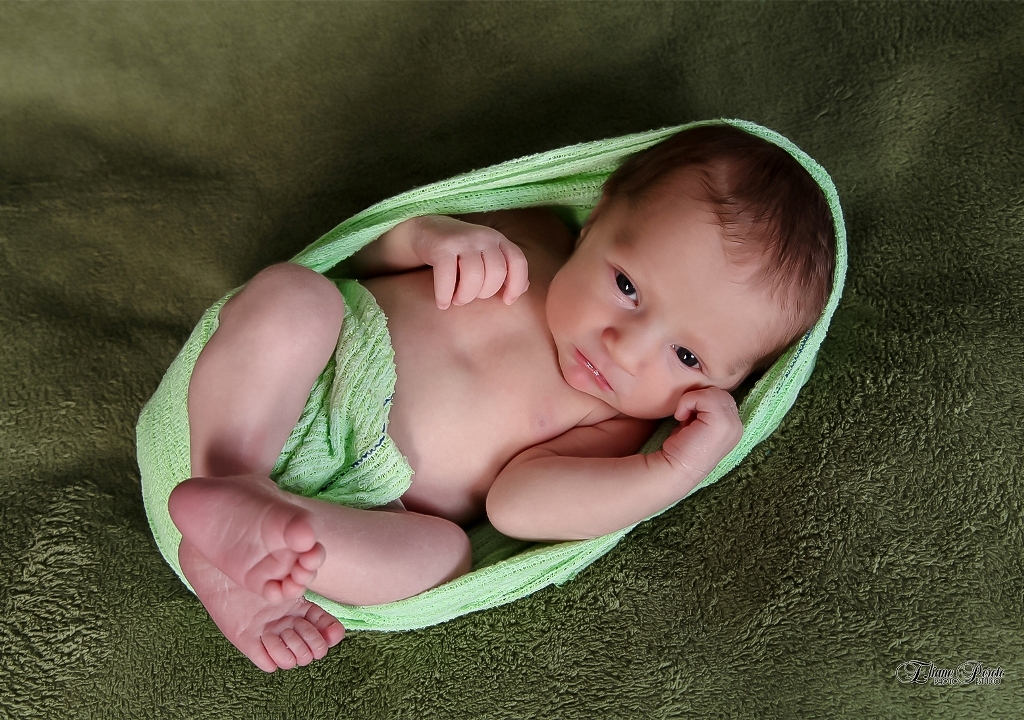 Newborn, Recém-Nascidos, Fotografia de Newborn, Fotografia de Estúdio, Bebês, Barra Bonita