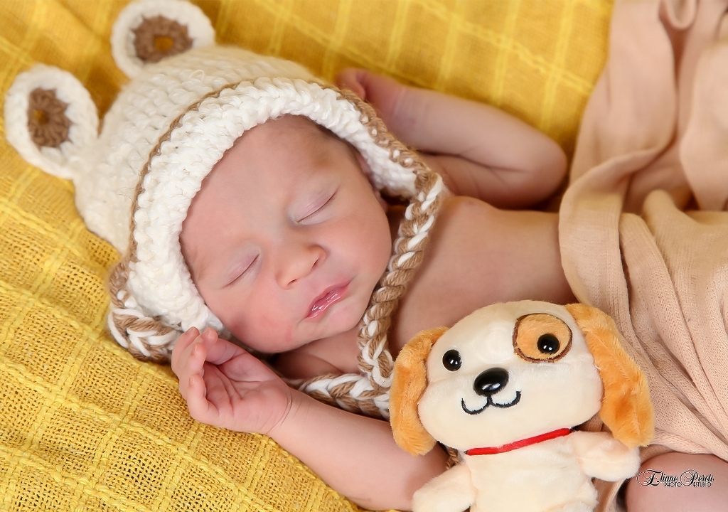 Newborn, Recém-Nascidos, Fotografia de Newborn, Fotografia de Estúdio, Bebês, Barra Bonita