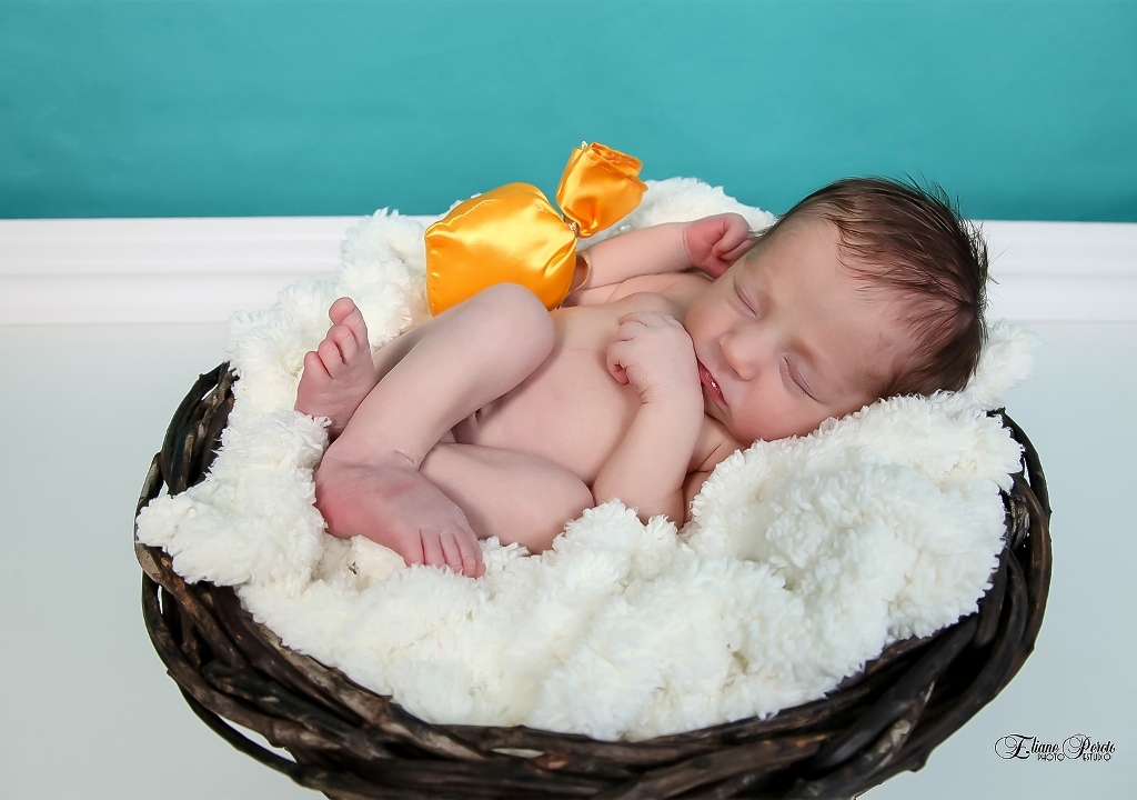 Newborn, Recém-Nascidos, Fotografia de Newborn, Fotografia de Estúdio, Bebês, Barra Bonita