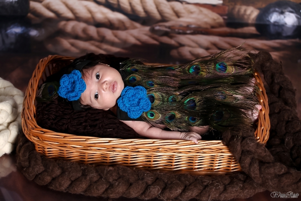 Isabelly, fotos de estúdio, pavão