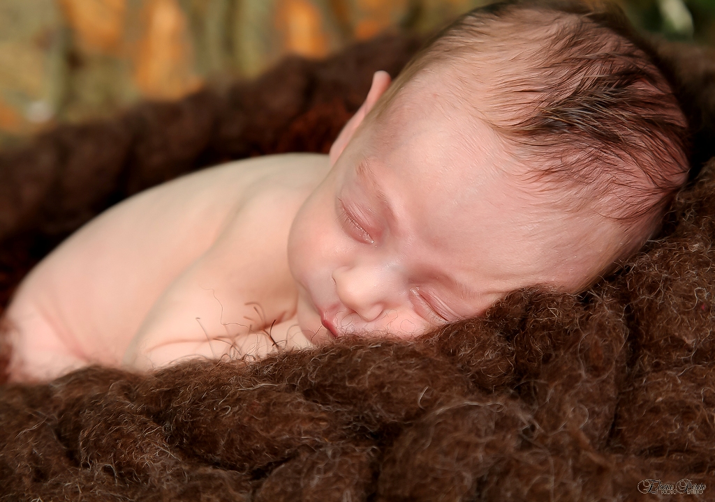 Newborn, Recém-Nascidos, Fotografia de Newborn, Fotografia de Estúdio, Bebês, Barra Bonita