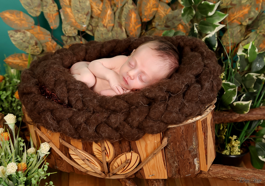 Newborn, Recém-Nascidos, Fotografia de Newborn, Fotografia de Estúdio, Bebês, Barra Bonita