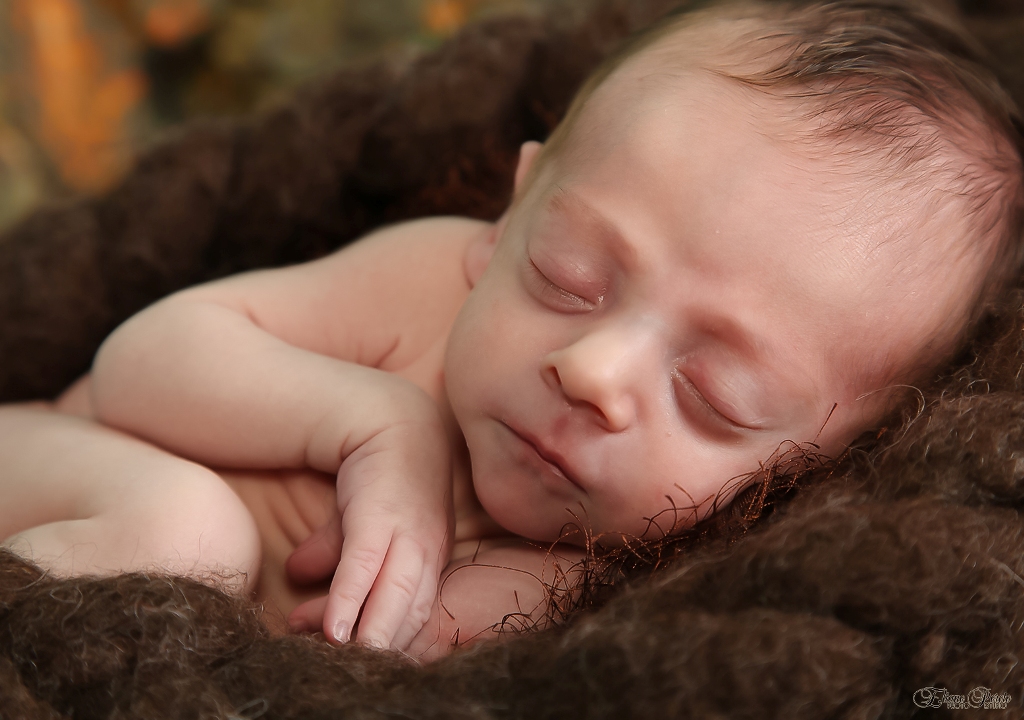 Newborn, Recém-Nascidos, Fotografia de Newborn, Fotografia de Estúdio, Bebês, Barra Bonita