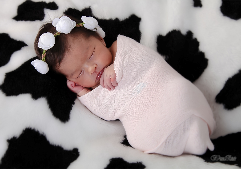 Newborn, Recém-Nascidos, Fotografia de Newborn, Fotografia de Estúdio, Bebês, Barra Bonita