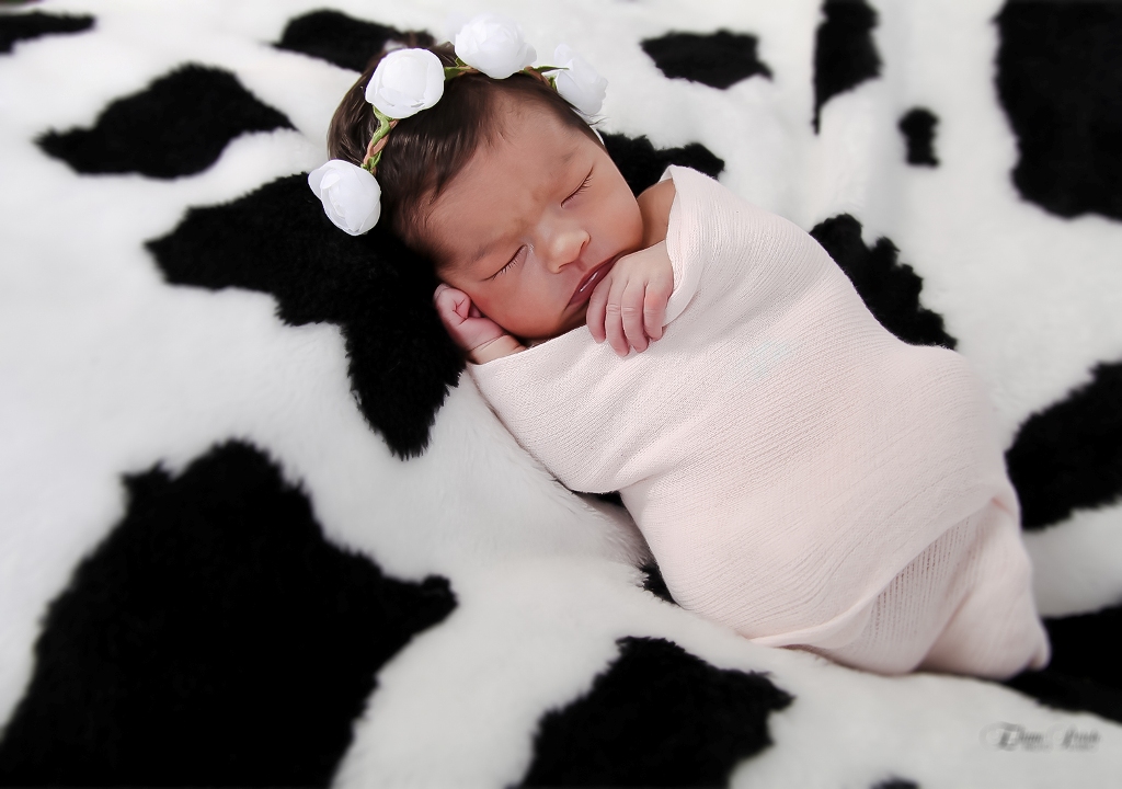 Newborn, Recém-Nascidos, Fotografia de Newborn, Fotografia de Estúdio, Bebês, Barra Bonita