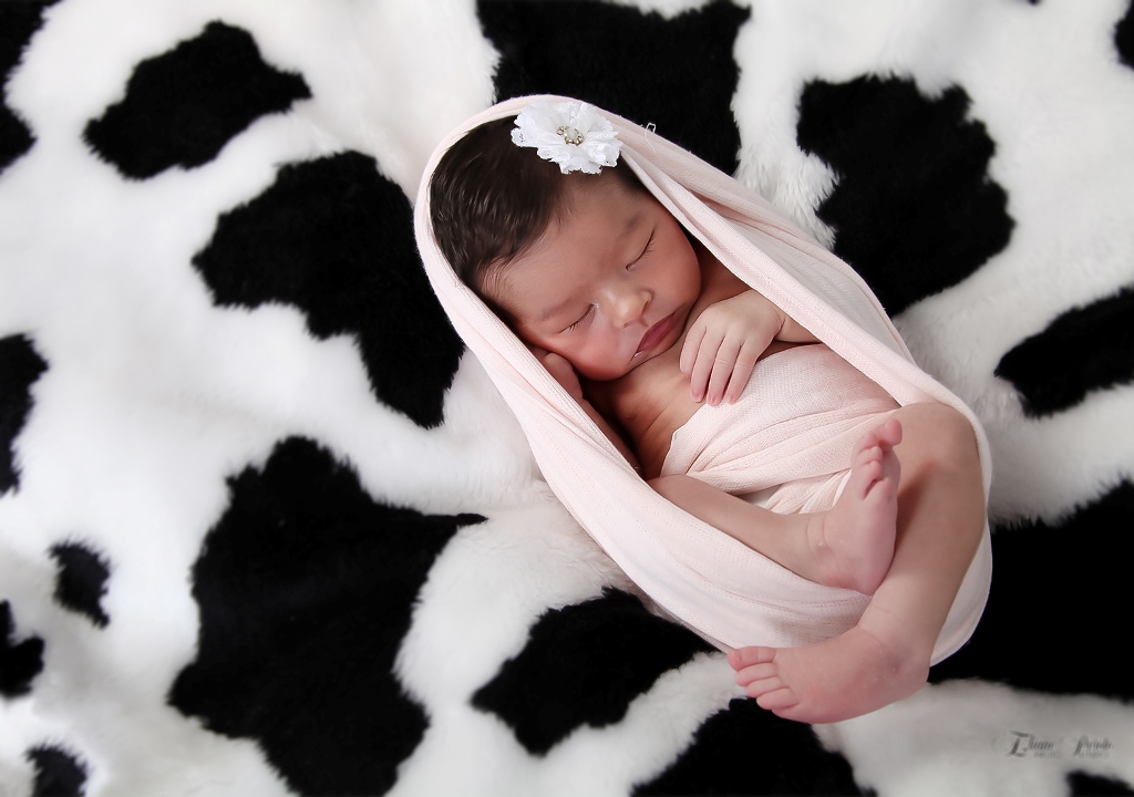 Newborn, Recém-Nascidos, Fotografia de Newborn, Fotografia de Estúdio, Bebês, Barra Bonita