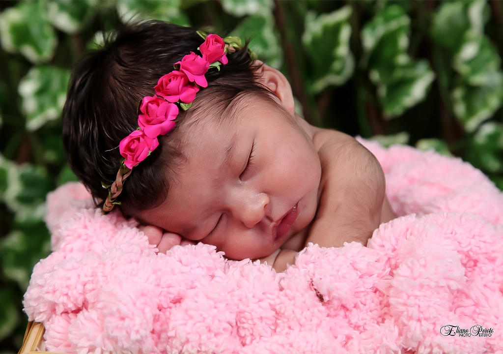 Newborn, Recém-Nascidos, Fotografia de Newborn, Fotografia de Estúdio, Bebês, Barra Bonita, Jardim Secreto