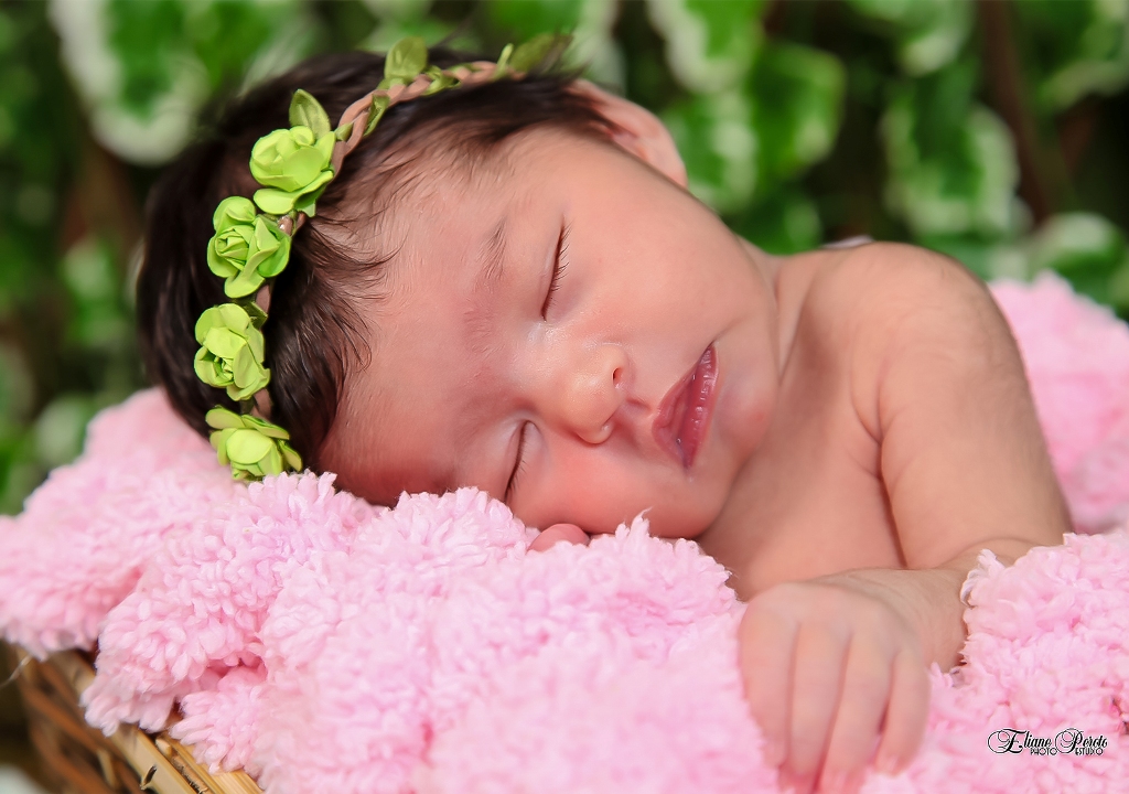 Newborn, Recém-Nascidos, Fotografia de Newborn, Fotografia de Estúdio, Bebês, Barra Bonita, Jardim Secreto