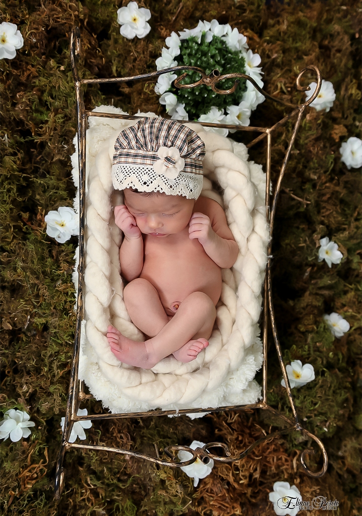 Newborn, Recém-Nascidos, Fotografia de Newborn, Fotografia de Estúdio, Bebês, Barra Bonita, Jardim Secreto