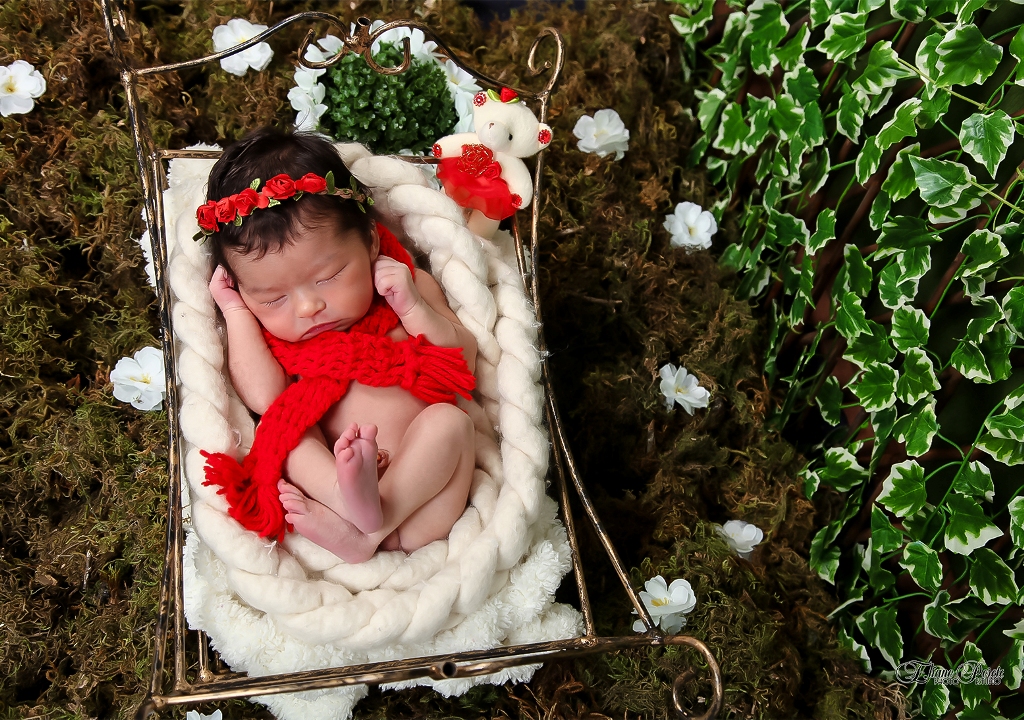 Newborn, Recém-Nascidos, Fotografia de Newborn, Fotografia de Estúdio, Bebês, Barra Bonita, Jardim Secreto