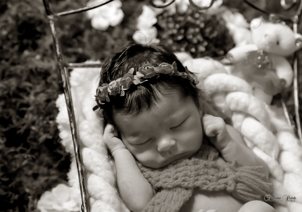 Newborn, Recém-Nascidos, Fotografia de Newborn, Fotografia de Estúdio, Bebês, Barra Bonita, Jardim Secreto