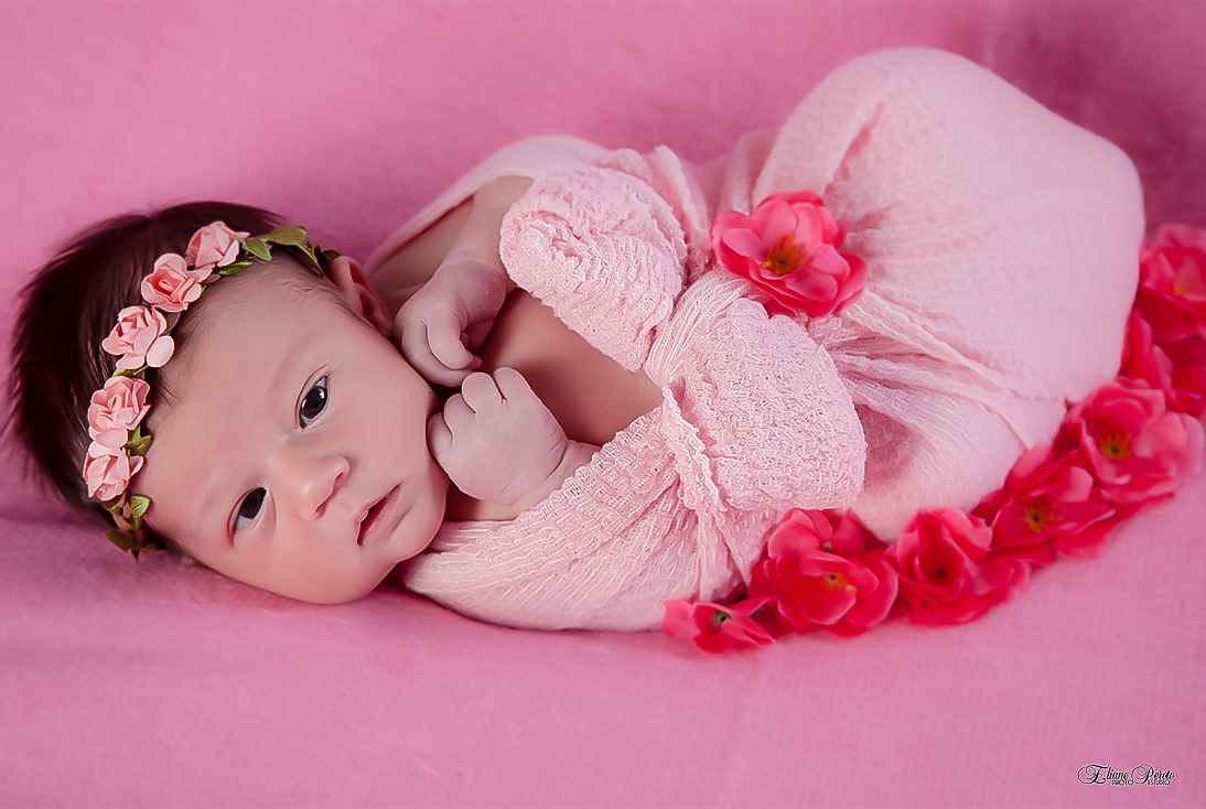 Newborn, Recém-Nascidos, Fotografia de Newborn, Fotografia de Estúdio, Bebês, Barra Bonita