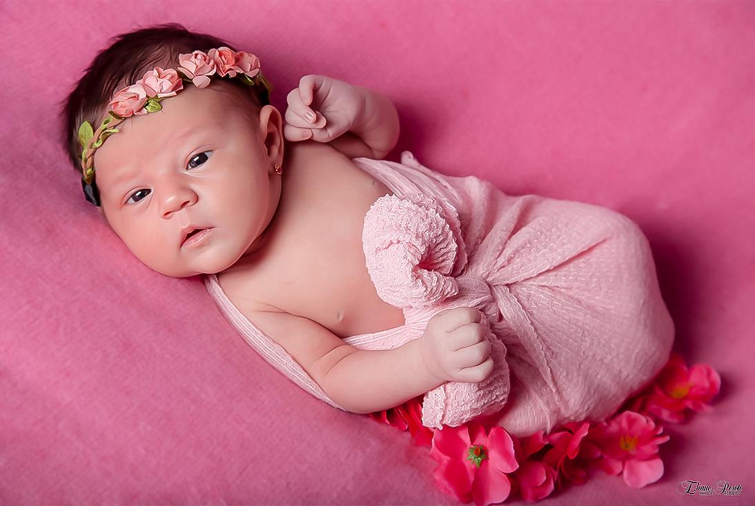 Newborn, Recém-Nascidos, Fotografia de Newborn, Fotografia de Estúdio, Bebês, Barra Bonita