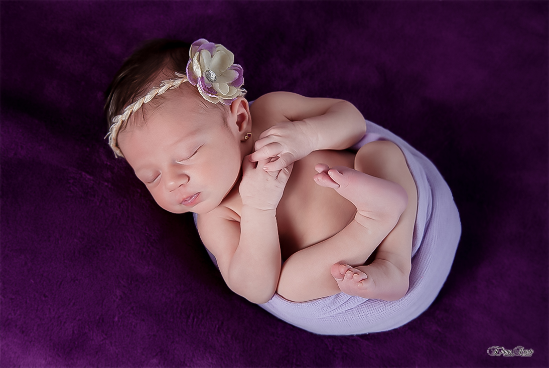 Newborn, Recém-Nascidos, Fotografia de Newborn, Fotografia de Estúdio, Bebês, Barra Bonita