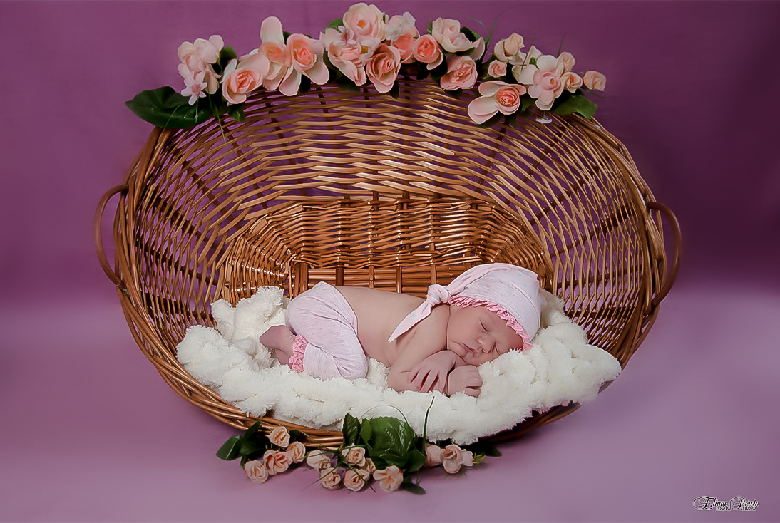 Newborn, Recém-Nascidos, Fotografia de Newborn, Fotografia de Estúdio, Bebês, Barra Bonita