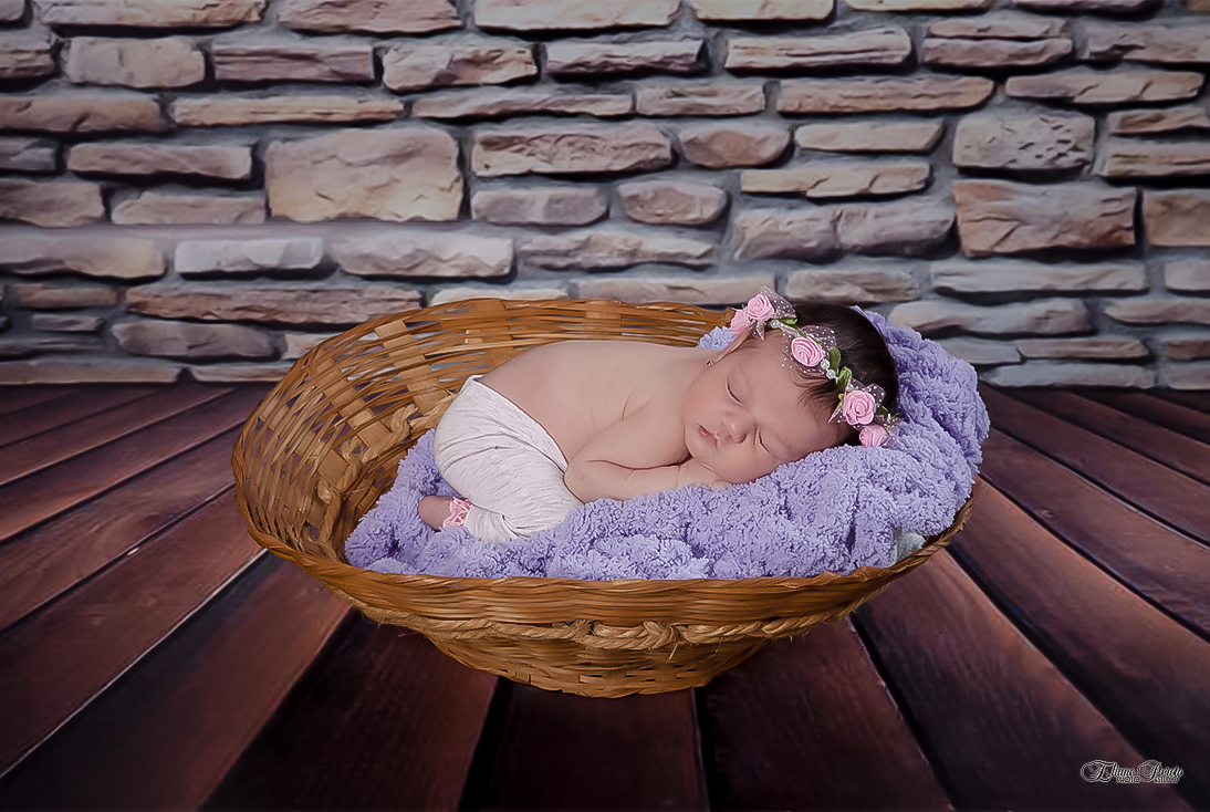Newborn, Recém-Nascidos, Fotografia de Newborn, Fotografia de Estúdio, Bebês, Barra Bonita