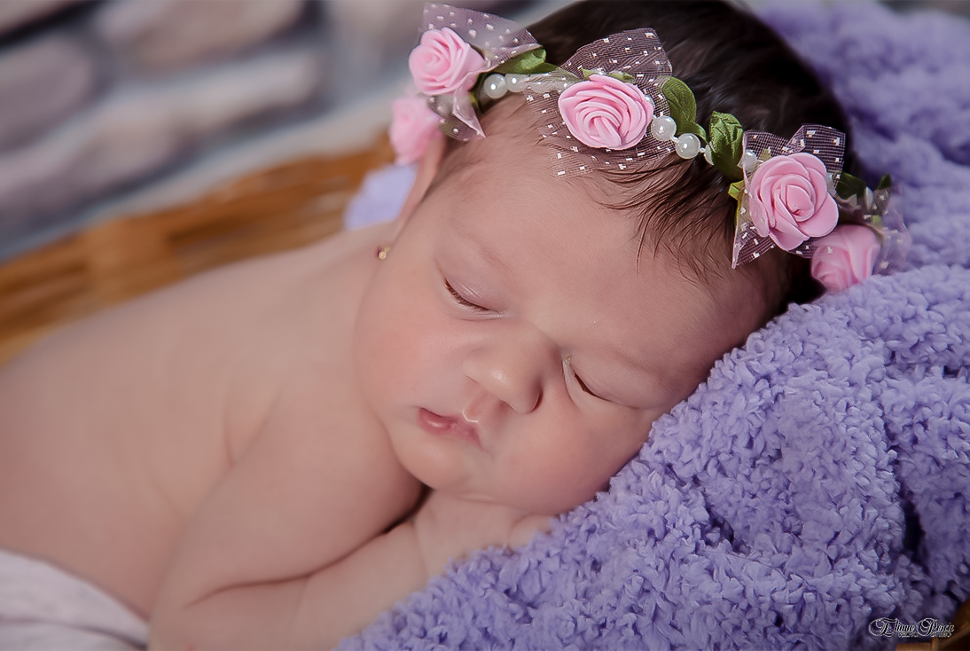 Newborn, Recém-Nascidos, Fotografia de Newborn, Fotografia de Estúdio, Bebês, Barra Bonita