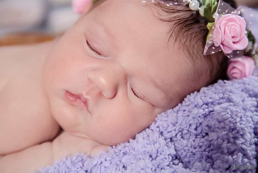 Newborn, Recém-Nascidos, Fotografia de Newborn, Fotografia de Estúdio, Bebês, Barra Bonita