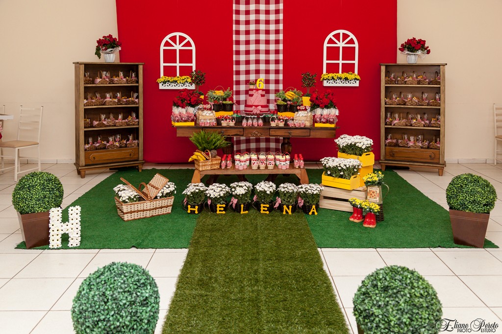 Festa de aniversário Helena 6 anos, decoração, mesa do bolo