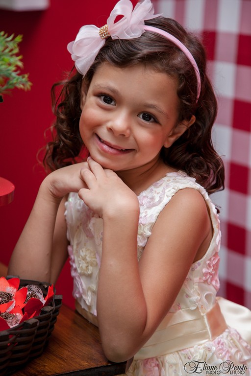 Festa de aniversário Helena 6 anos, meiguisse
