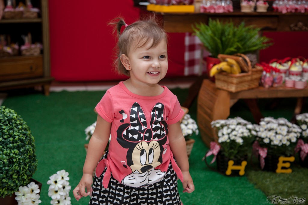 Festa de aniversário Helena 6 anos, sua prima