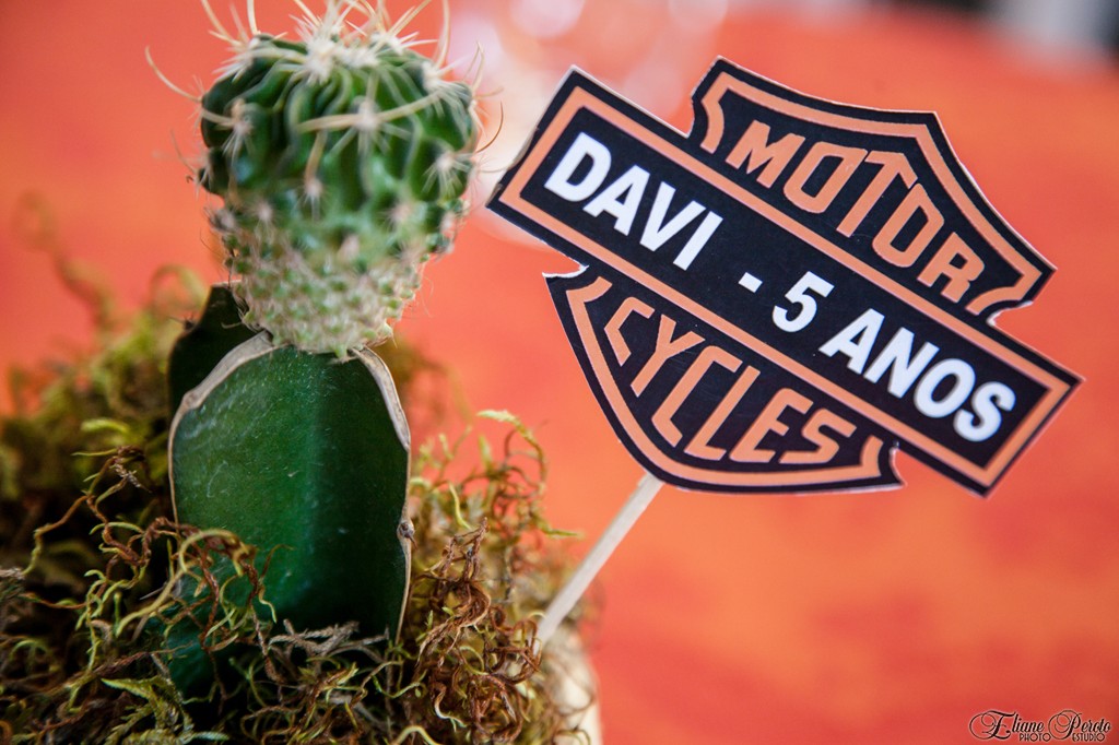 Parque da fantasia, aniversário, festa, 5 anos, Davi, decoração