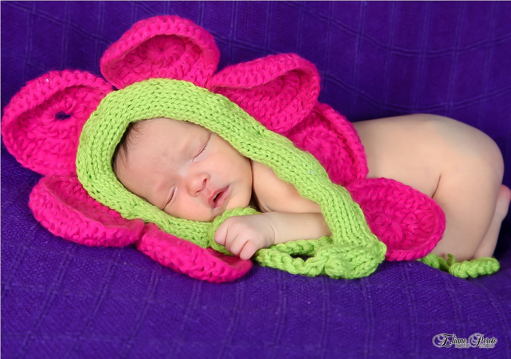 Newborn, Recém-Nascidos, Fotografia de Newborn, Fotografia de Estúdio, Bebês, Barra Bonita