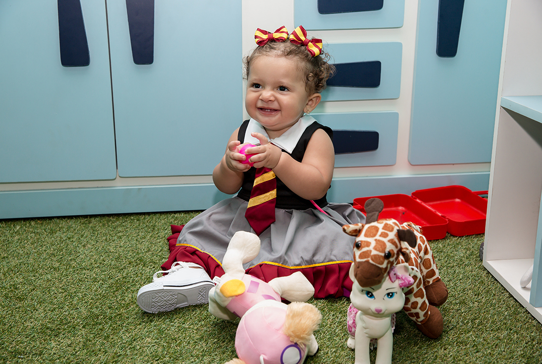 Lis 1° aninho, Barra Bonita, SP, Medieval Eventos, festa de aniversário, salão de festas interior de SP, pet shop