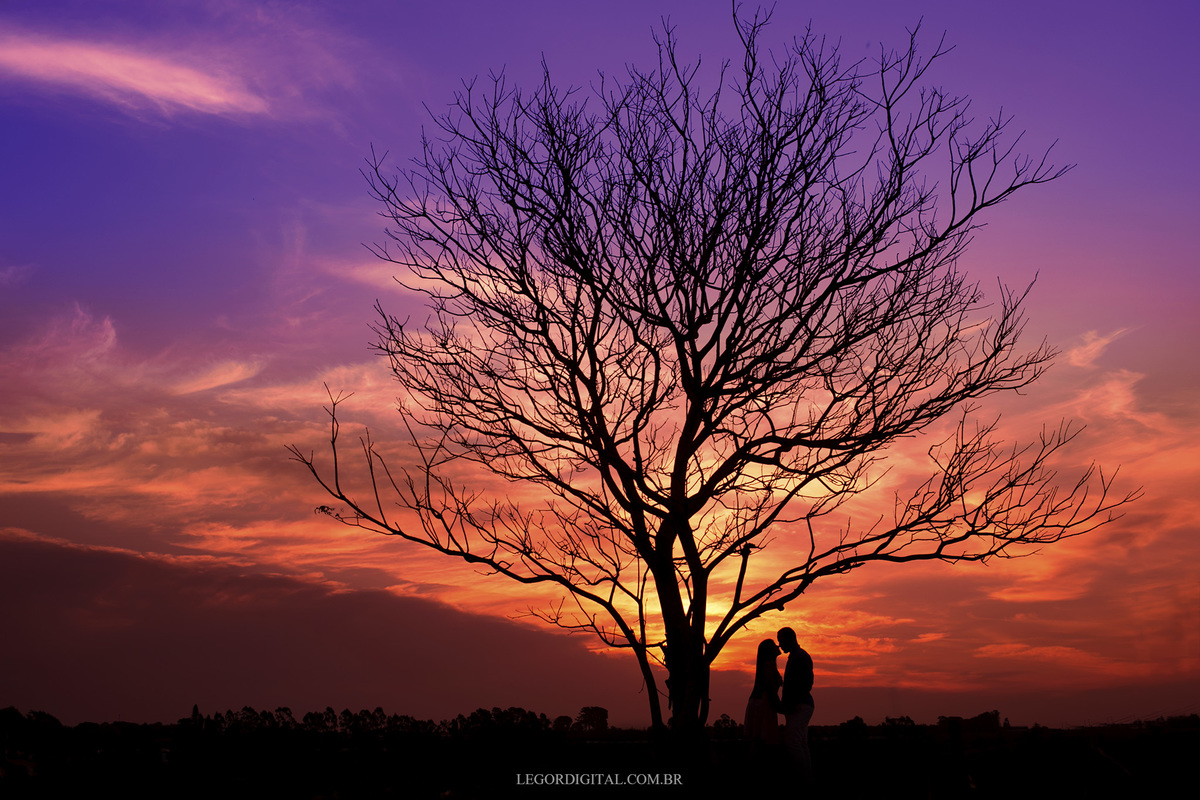 fim de tarde no pré-wedding em holambra - SP, foto em silhueta em uma foto criativa