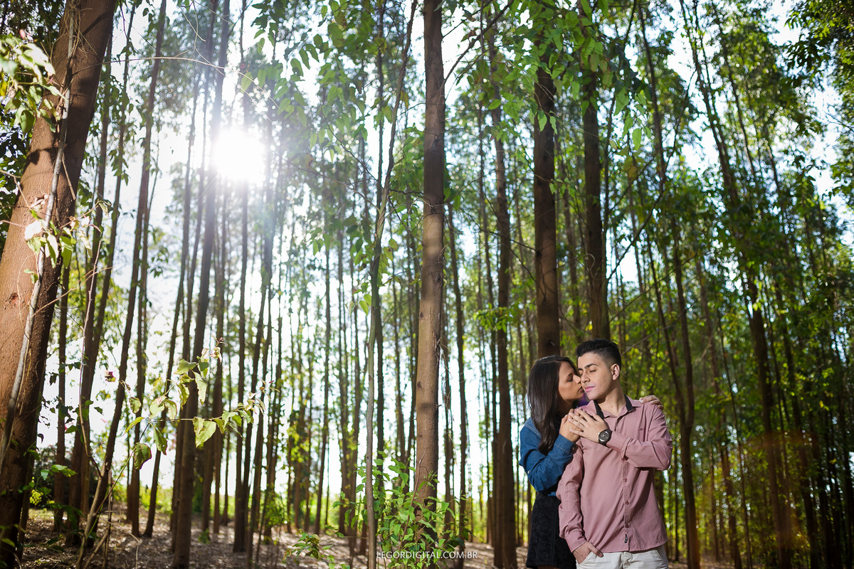 Fotografia nos eucaliptos 