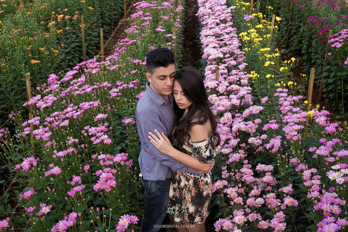 Holambra cidade das flores