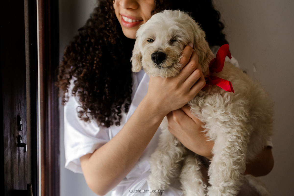 Dia da noiva e cachorro