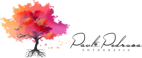 Logotipo de Paulo Pedrosa