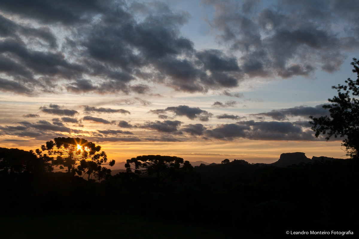 Destination Wedding. Casamento realizado no hotel e Pousada Suryapan, em Campos do Jordão - SP. Casamento no campo.