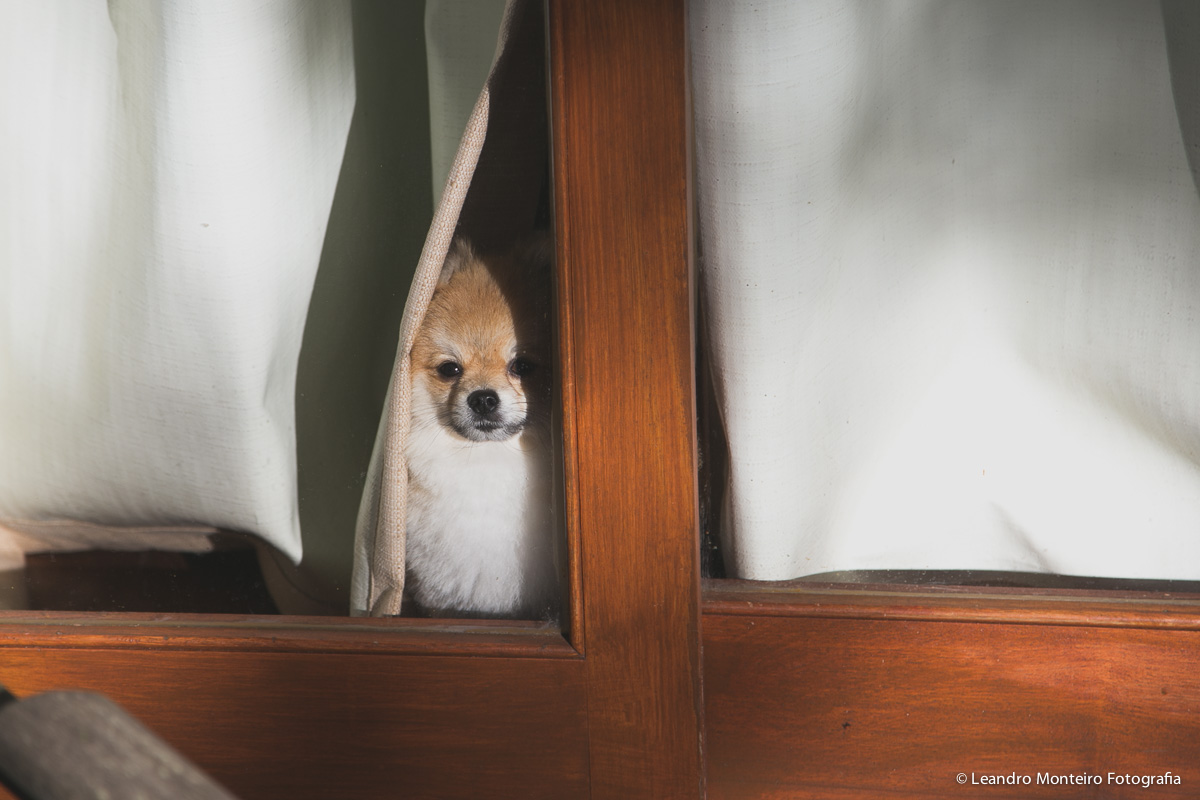 Destination Wedding. Casamento realizado no hotel e Pousada Suryapan, em Campos do Jordão - SP. Casamento no campo.