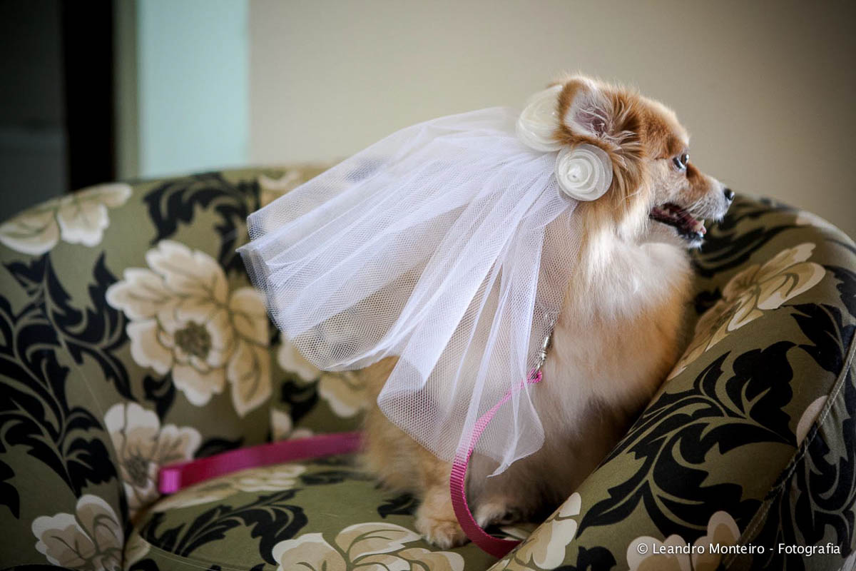 Casamento no campo, realizado na chacara Nossa Senhora Aparecida, na cidade de Paraibuna.