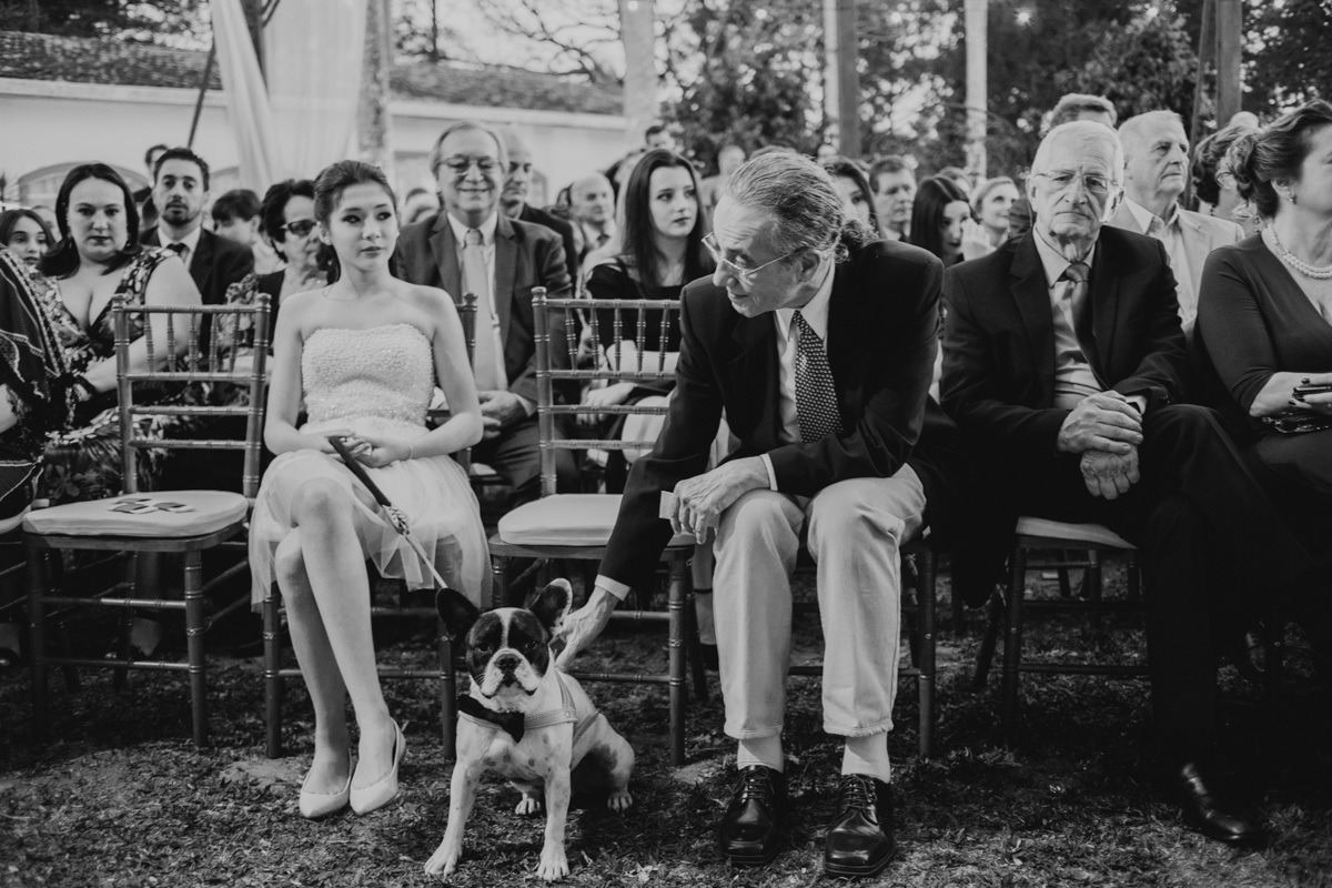 cachorro na cerimonia