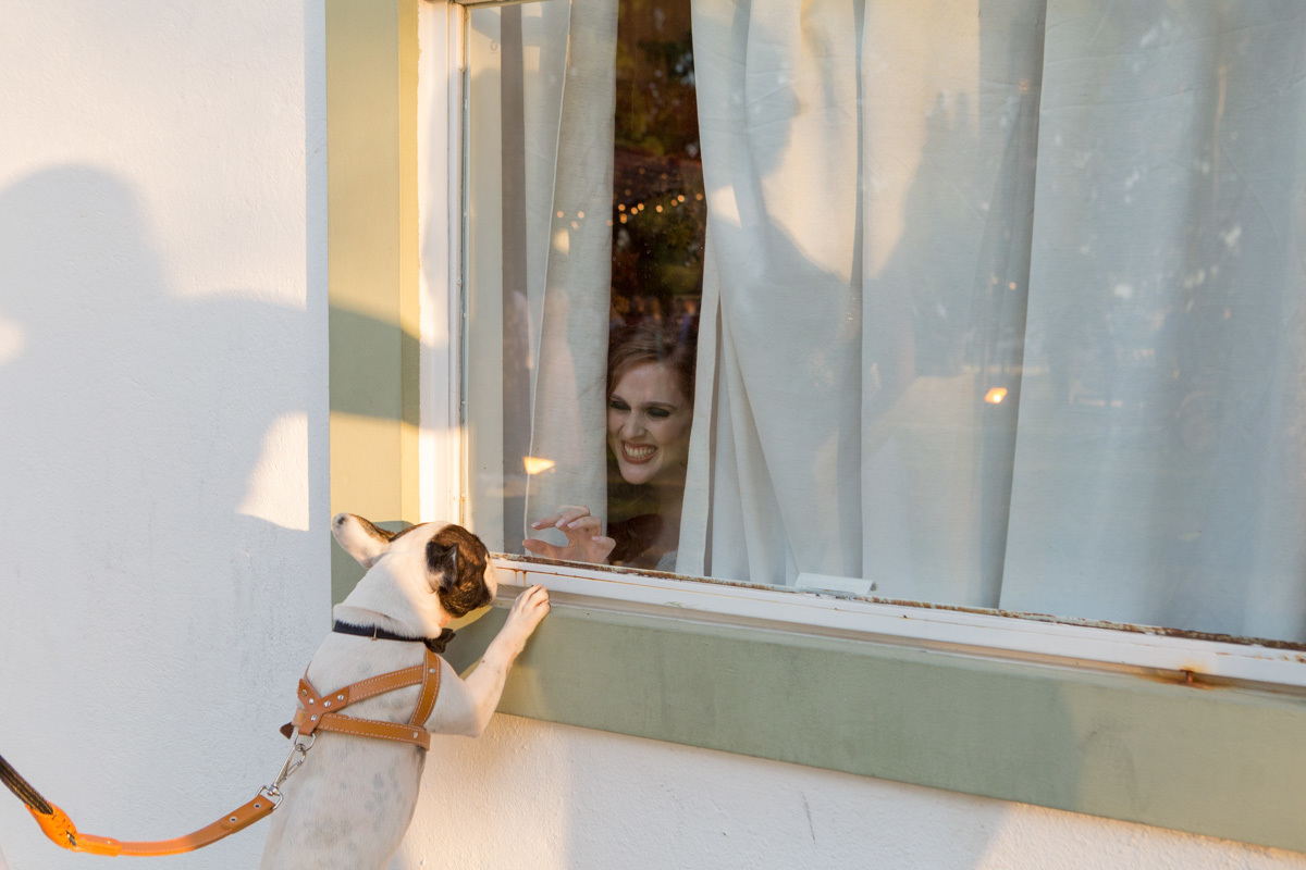 noiva com o cachorro