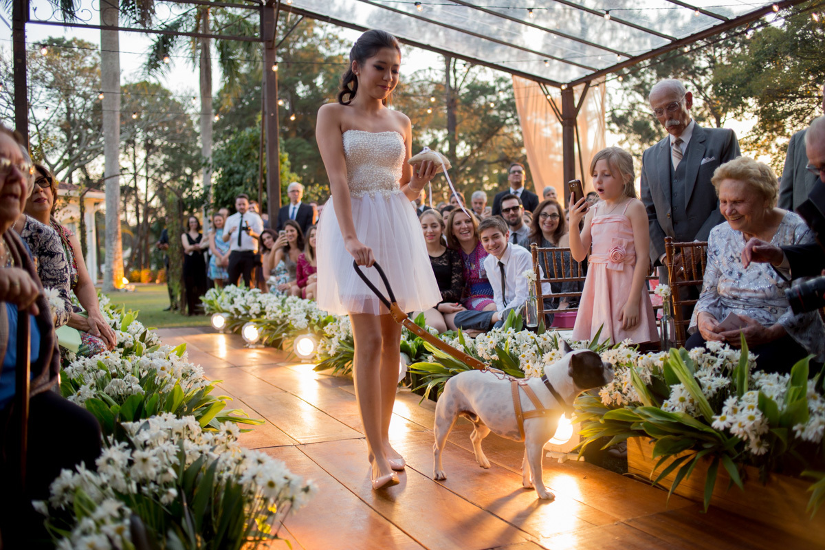 daminha entra com cachorro na cerimonia