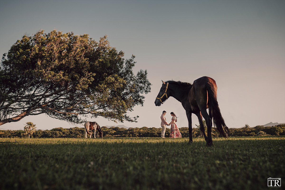 Sessao de fotos pre wedding fazenda terra do sol - Raquel e Tiago