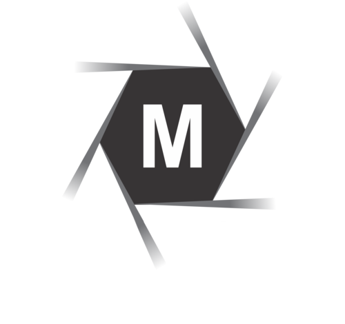 Logotipo de FRANCISCO MIGUEL ALVES SILVA