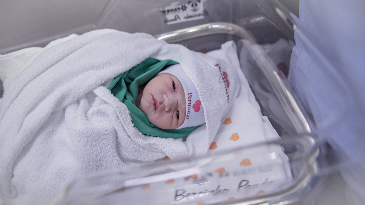 parto-nascimento-foto-fotografia-fotografo-cesarea-recem-nascido-bebê-newborn-rio de janeiro-rj-teresópolis-maternidade-perinatal-normal-vaginal-natural-obstetra-pediatra-família-berçário-nascer-hctco-doula-gestante-grávida-amamentação-gestação-mãe-video