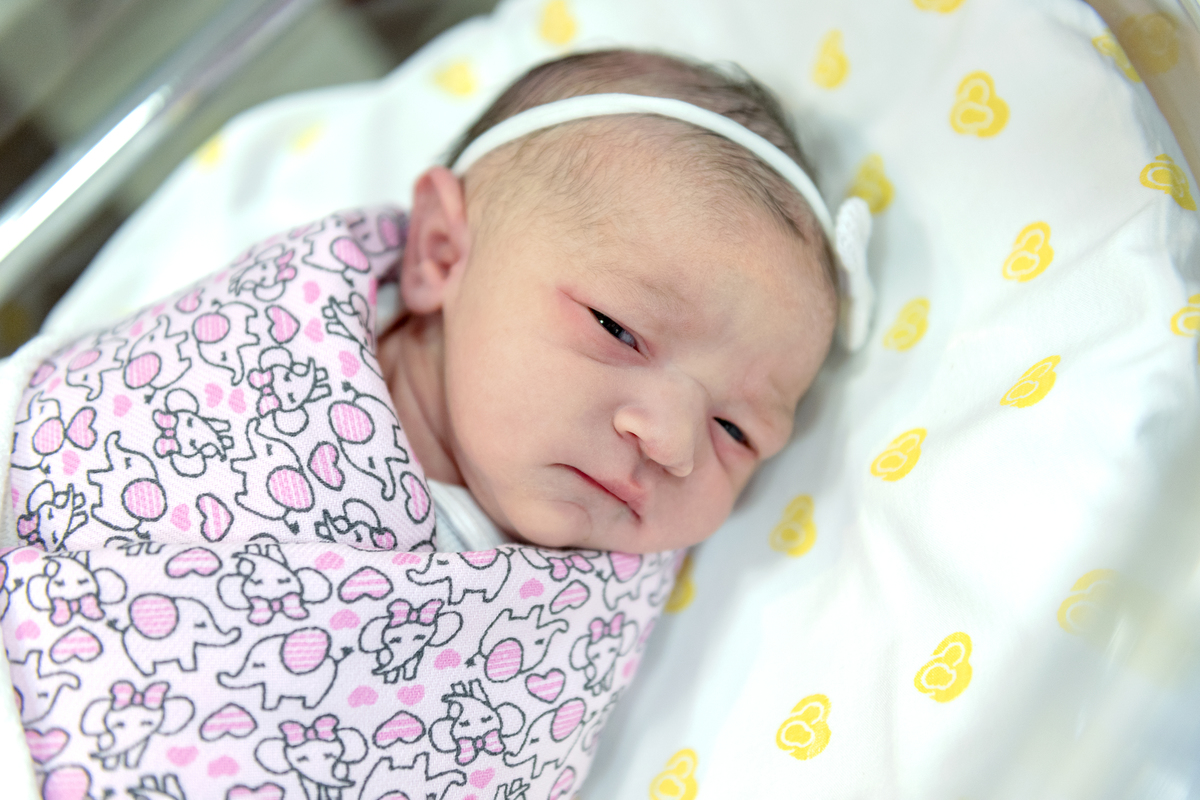 parto-nascimento-foto-fotografia-fotografo-cesarea-recem-nascido-bebê-newborn-rio de janeiro-rj-teresópolis-maternidade-perinatal-normal-vaginal-natural-obstetra-pediatra-família-berçário-nascer-hctco-doula-gestante-grávida-amamentação-gestação-mãe-video