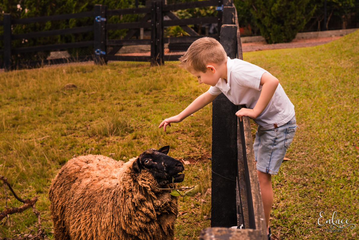 ensaio de família, 2 meninos, sítio, casa dos avós, em lajeado