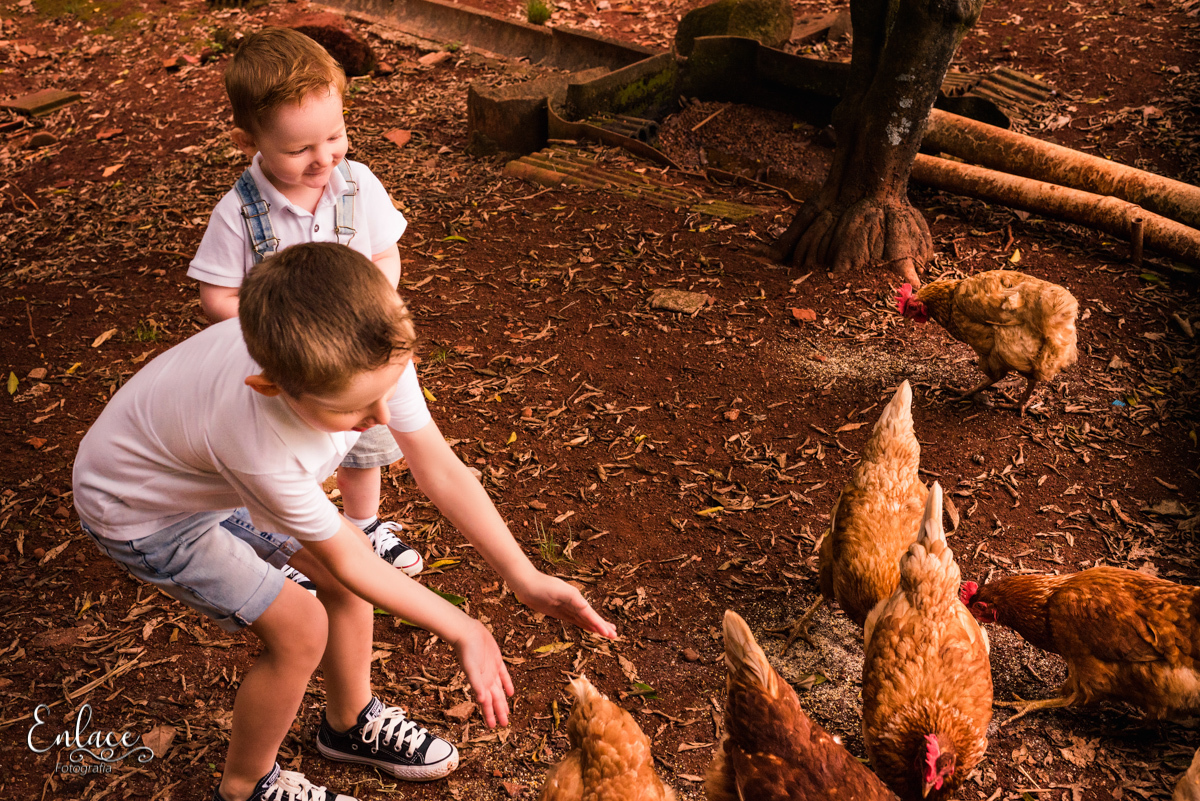 ensaio de família, 2 meninos, sítio, casa dos avós, em lajeado
