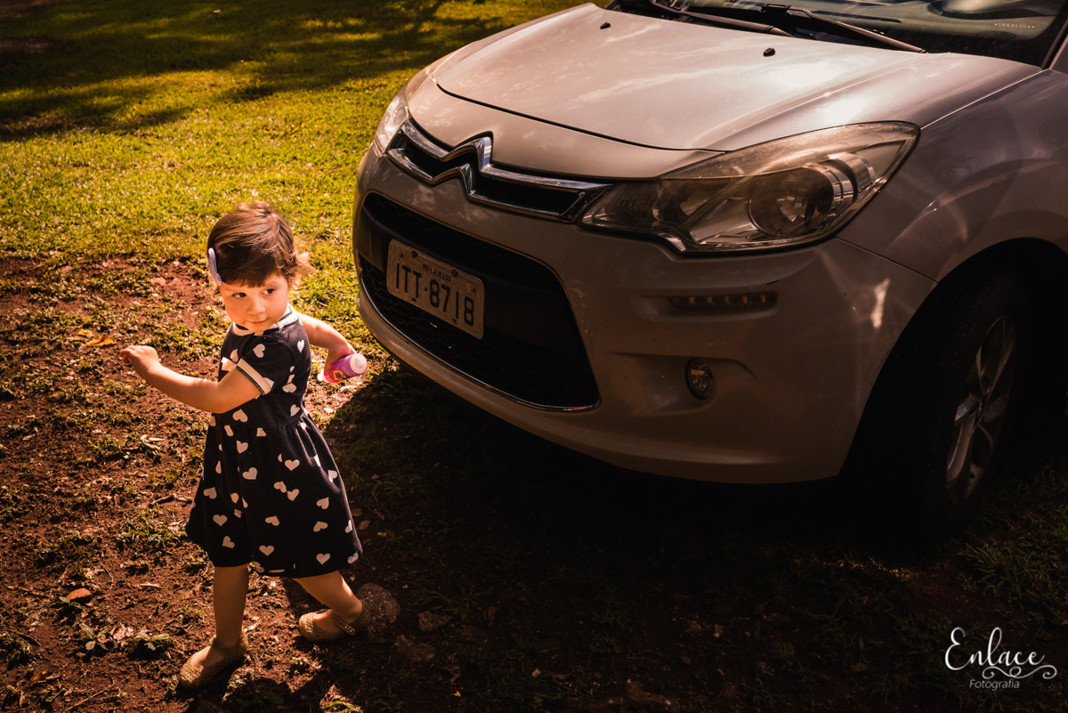 aniversário menina, 2 aninhos, decoração tema Minnie mouse, sitio, feito em casa, família, pandemia 